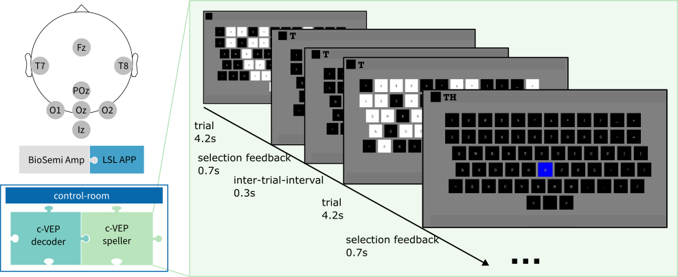 Walk through the [setup script for c-VEP BCI](https://github.com/thijor/dp-cvep).
